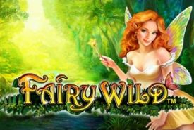 Fairy Wild review