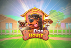 The Dog House review